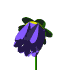 EMOTICON fleur 51