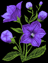 EMOTICON fleur 56