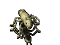 Gifs Animés fourmies 56