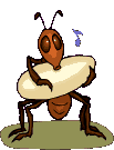 Gifs Animés fourmies 64