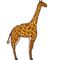 Gifs Animés giraffe 40