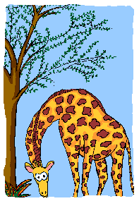 Gifs Animés giraffe 49