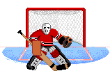 Gifs Animés hockey 31