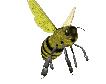 EMOTICON insect 116