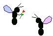 EMOTICON insect 61