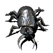 EMOTICON insect 95