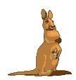 EMOTICON kangourous 15