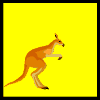 Gifs Animés kangourous 8