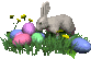 Gifs Animés lapins 486