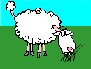 Gifs Animés moutons 107