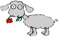 Gifs Animés moutons 31