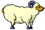 Gifs Animés moutons 46