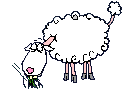 Gifs Animés moutons 47