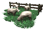 EMOTICON moutons 53