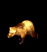 Gifs Animés ours 293