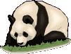 EMOTICON panda 19