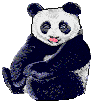 Gifs Animés panda 31