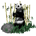 Gifs Animés panda 35