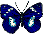 Gifs Animés papillons 159