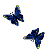 Gifs Animés papillons 183