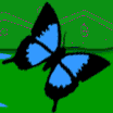 Gifs Animés papillons 192