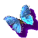 Gifs Animés papillons 205
