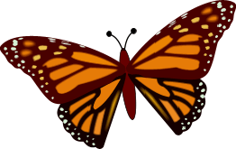 Gifs Animés papillons 265