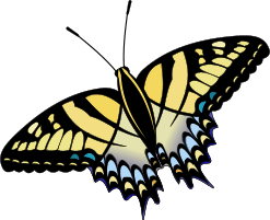 Gifs Animés papillons 337