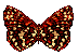 Gifs Animés papillons 35