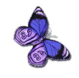Gifs Animés papillons 364