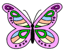 Gifs Animés papillons 48