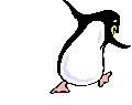 Gifs Animés pinguins 121