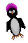 Gifs Animés pinguins 148