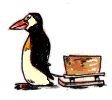 Gifs Animés pinguins 166