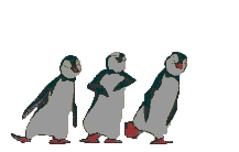 Gifs Animés pinguins 182