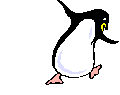 Gifs Animés pinguins 60