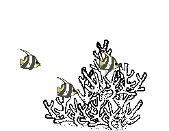 Gifs Animés poissons 371