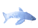 Gifs Animés requins 11