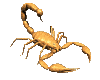 Gifs Animés scorpions 6