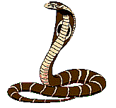 Gifs Animés serpents 54