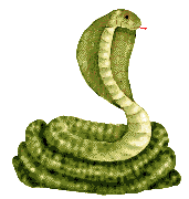 EMOTICON serpents 59
