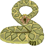 Gifs Animés serpents 62