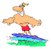 Gifs Animés surfing 32