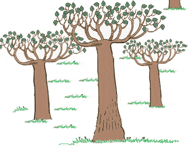 Gifs Animés tronc arbres 34