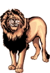 Gifs Animés tugres-lions 52