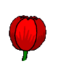 EMOTICON tulipes 15