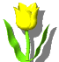 EMOTICON tulipes 7