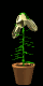 EMOTICON vase a fleurs 10