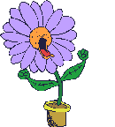 EMOTICON vase a fleurs 34