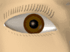 EMOTICON yeux 103